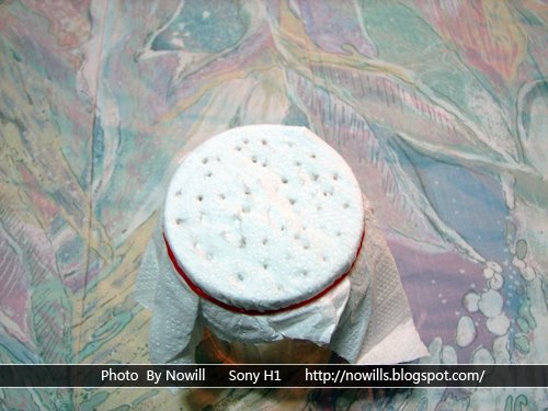 上方特寫 DSC08578